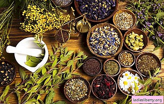 Ubat herba untuk edema - adakah ia akan membantu? Bagaimana cara memohon daun lingonberry, merebus tunas pain dan penyerapan jerawat untuk edema