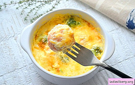 Soup meatballs - best recipes. How to cook delicious meatballs with semolina for soup from different types of meat and fish