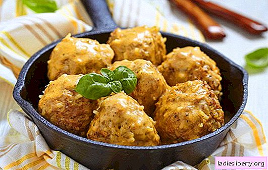 Meatballs in sour cream sauce are the best recipes. How to cook meatballs in sour cream sauce of chicken, beef, minced fish