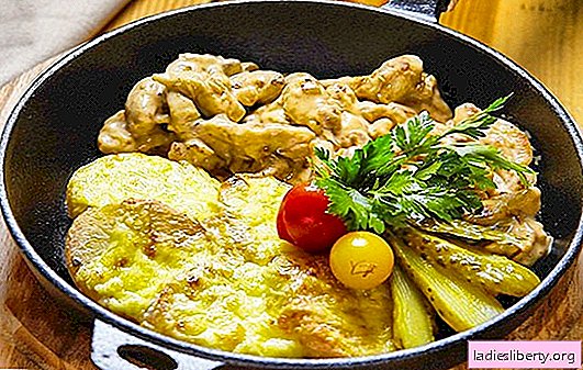 Pork fricassee - simple, unpretentious, satisfying! Pork fricassee recipes with vegetables, mushrooms, beans, cream