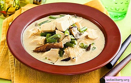 Fricassee in cream sauce is a simple French dish. Cooking options for fricassee in creamy sauce with mushrooms, vegetables and cheese
