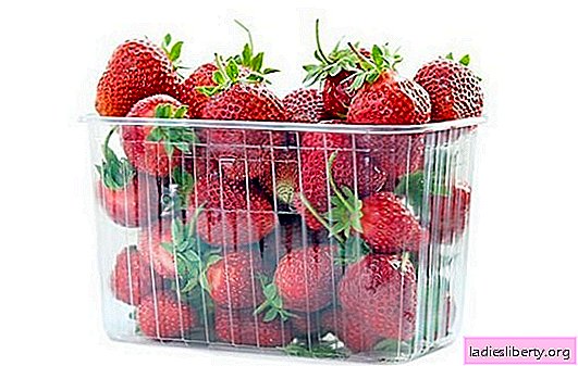 Where, how and how much to store strawberries at home? The secrets of long-term storage of strawberries at home