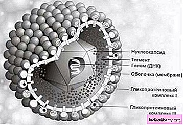 Herpes - causes, symptoms, diagnosis, treatment