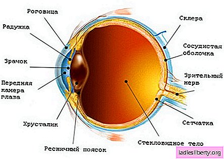 Glaucoma: causas, síntomas, diagnóstico, tratamiento.