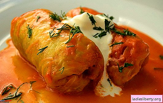 Cabbage rolls in sour cream sauce - cabbage with a secret. Stuffed cabbage recipes in sour cream sauce: baked, stewed, fried