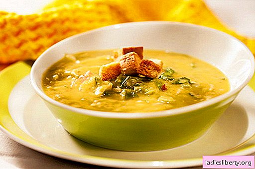 Zuppa di piselli con pollo - le migliori ricette. Come cucinare correttamente e gustosa zuppa di piselli con pollo.
