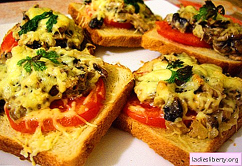 Sanduíches quentes com salsicha, queijo, ovos, tomates - as melhores receitas. Como preparar sanduíches quentes no forno, na panela e no microondas.