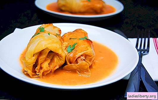 Cooking cabbage rolls in tomato sauce: creativity is welcome! Stuffing and wrapping options for cabbage rolls in tomato sauce