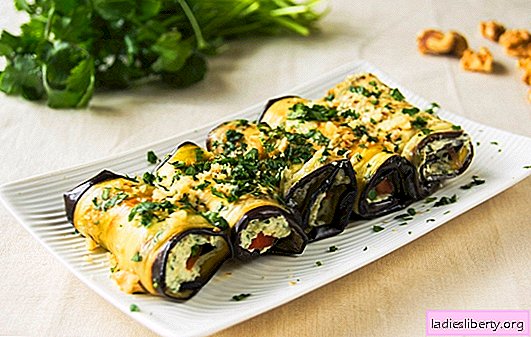 Cooking eggplant rolls with cheese - a universal appetizer. Eggplant rolls with cheese: simple, fast, appetizing