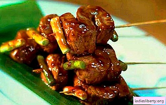 Carne de res agridulce - ¡originaria de Asia! Opciones de carne en salsas agridulces: arándano, naranja, miel, coñac