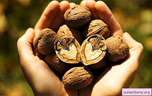 Walnuts for immunity: how to maintain health without pills. Gifts of Mother Nature - immunity walnuts, recipes