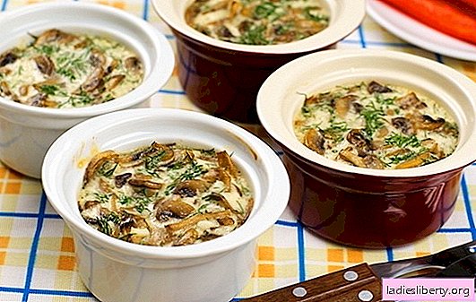 Mushrooms with cream - just tasteful. The best recipes of mushrooms with cream: fried, stewed, baked, in pots