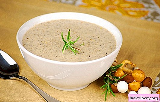 حساء الفطر كريم - وصفات شعبية. طريقة تحضير شوربة كريمة الفطر في طباخ بطيء أو بالكريمة أو بالجبن
