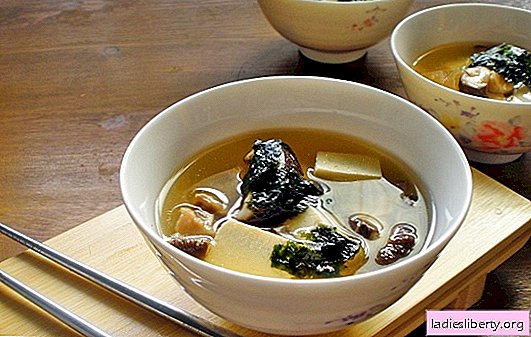 Oyster mushroom soup is a delicious dish for lunch at any time of the year. The best recipes for mushroom soup from oyster mushrooms with chicken, cheese, etc.