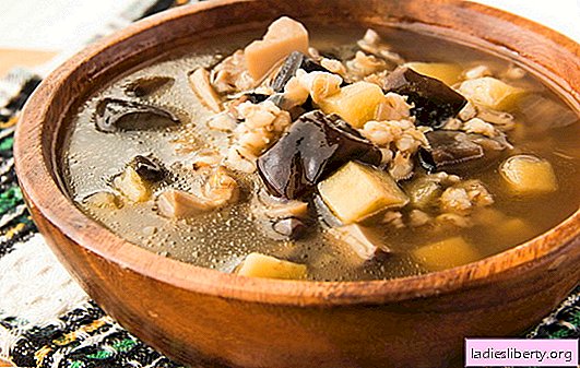 Mushroom soup of frozen mushrooms - the aroma of autumn! The best recipes of mushroom soup from frozen mushrooms
