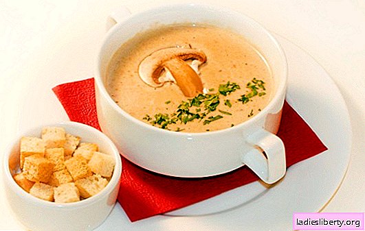 Piureul de supă de ciuperci - o versiune delicată a felului de mâncare preferat. Cele mai bune rețete de supă de cremă de ciuperci: cu smântână, cu brânză, orez, coniac, creveți