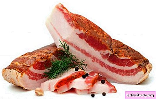 Salty brisket is a real delicacy of bacon! Cooking recipes, snacks from it and methods of serving salty bacon