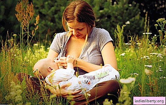 الرضاعة الطبيعية: نصيحة للأم المرضعة. كيفية إصلاح الرضاعة: الرضاعة الطبيعية - نصائح للضخ السليم