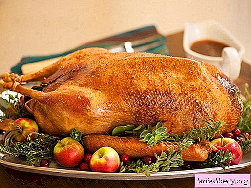 Oven baked goose - the best recipes. How to properly and tasty cook goose in the oven.