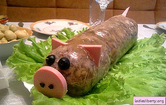 Cerdo en gelatina: las mejores recetas para su preparación. Variedad de ingredientes para cocinar carne de cerdo en gelatina