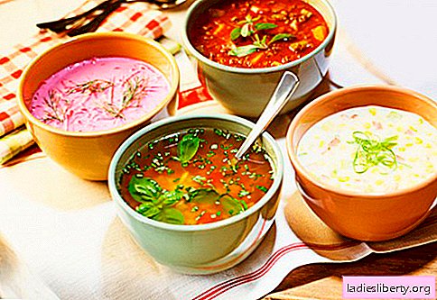 Koude soepen - beproefde recepten. Hoe heerlijke koude soepen met worst of haring te koken