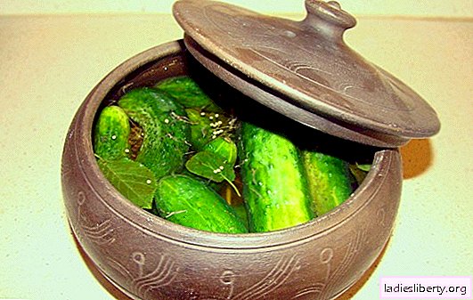 ¡Las amantes prefieren hacer pepinos salados en una cacerola! Recetas de pepinos salados en la sartén y platos con su participación.