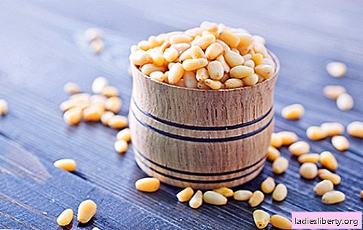 Pine nuts storage - how to? How to store pine nuts at home - basic principles, tricks