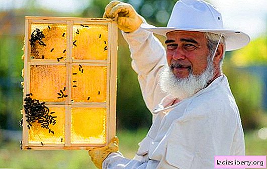 Armazenamento de mel no apartamento: onde, em que e quanto o produto é armazenado. É possível manter o mel na geladeira, no porão ou na loggia