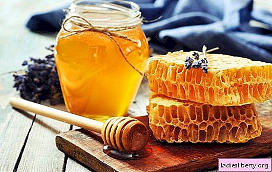 Storage of honey: where, how much and in what container. Storage conditions for honey at home, the reasons that honey has fermented