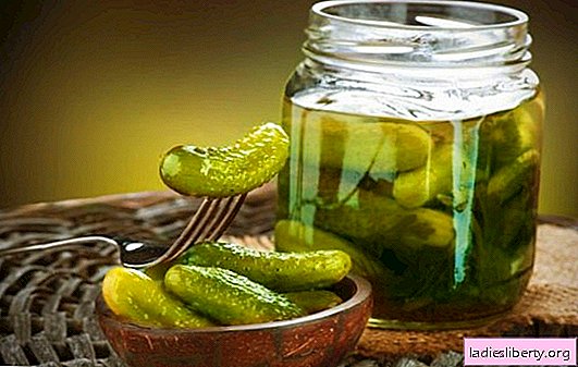 Crispy pickles for the winter - what would you do without them? A selection of traditional and new recipes for crispy pickles for the winter