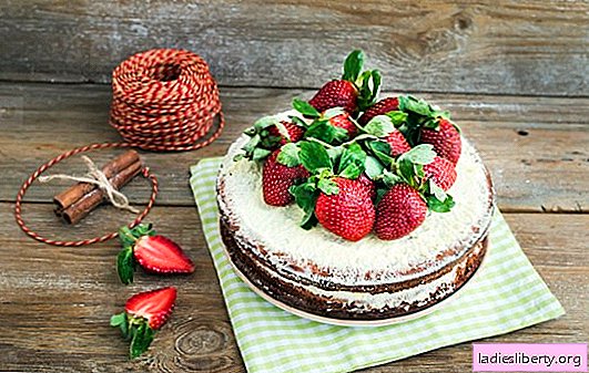 Đumbir torta - jedinstvenog ukusa! Jednostavni recepti za kolače od biskvita, meda, suflea i brzih kolača od đumbira