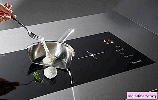 Induction stove is the pinnacle of modern technological progress in the kitchen. Positive qualities, benefits and harms of induction cooker