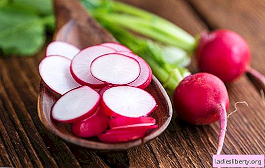 The use of radish in diet food: what are its benefits and harms? The composition and calorie content of radishes: about the benefits and harms to the body