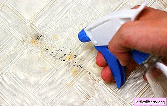 Getting rid of bed bugs at home is a simple solution to an unpleasant problem. How to permanently get rid of bed bugs at home
