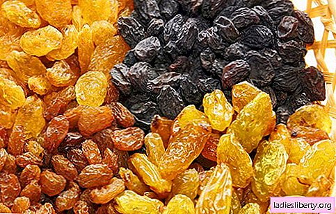 Raisin - description, propriétés, utilisation en cuisine. Recettes avec des raisins secs.