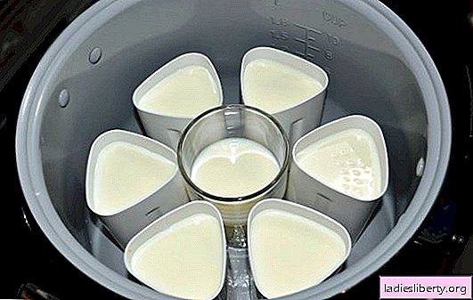 Iogurte em um multicooker em frascos - um deleite saboroso saudável. Variedades de iogurte multicooker em frascos