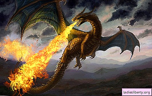 Pourquoi le dragon rêve-t-il: pour le bien ou pour le malheur? Interprétations de base - De quoi le rêve de dragon