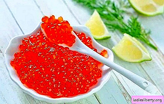 Why dream black or red caviar, fish with caviar, a stale delicacy? Basic Interpretations - What Caviar Is For
