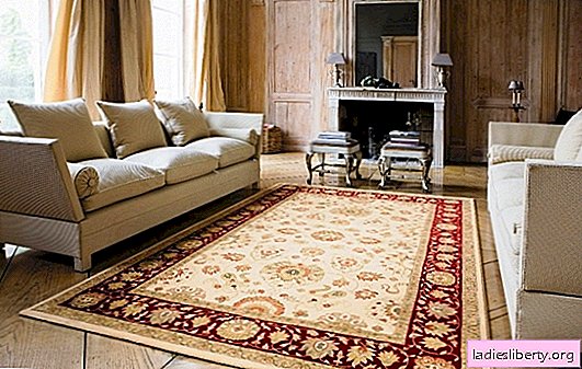A cosa serve il sogno del tappeto? L'interpretazione principale: qual è il sogno del tappeto e le azioni con esso (ricama, compra, pulisci)