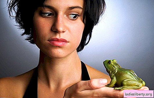 여자가 개구리에 대해 꿈꾸는 이유는 무엇입니까? 주요 해석 : 여자 개구리는 무엇을 꿈꿉니까?
