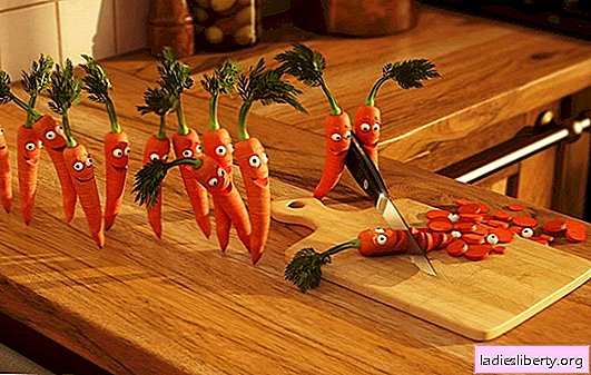 Que sonhos de cenoura - sinais nacionais. Se você sonhou com uma cenoura: o que significa, o que você pode esperar, ser feliz ou chateado?