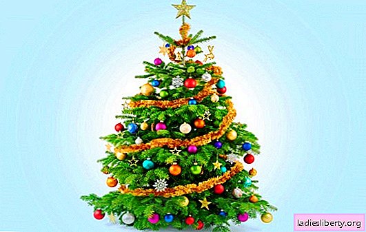 ما هو حلم شجرة عيد الميلاد: مزينة للعام الجديد أو ينمو في الغابة؟ التفسيرات الأساسية - ما شجرة عيد الميلاد قد يحلم