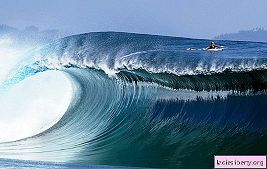Warum große Wellen träumen: transparent oder bewölkt. Wichtige Interpretationen - Was Sie erwartet, wenn Sie von großen Wellen träumen