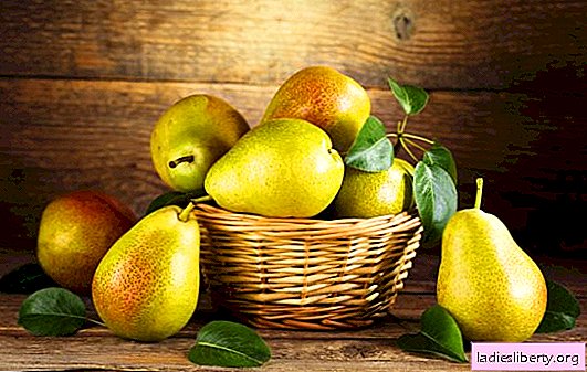 Why do pears dream: what do the dream books of Miller, Wangi, Freud and others say. Interpretation of dreams about pears and related situations