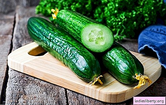 What are the dreams of fresh cucumbers on the garden bed or on the table? Basic Interpretations - What Fresh Cucumbers Dream About