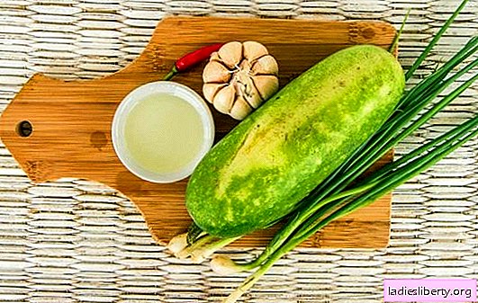 Squash with garlic: delicious, simple, low-calorie. How to cook everyday and festive dishes of zucchini with garlic