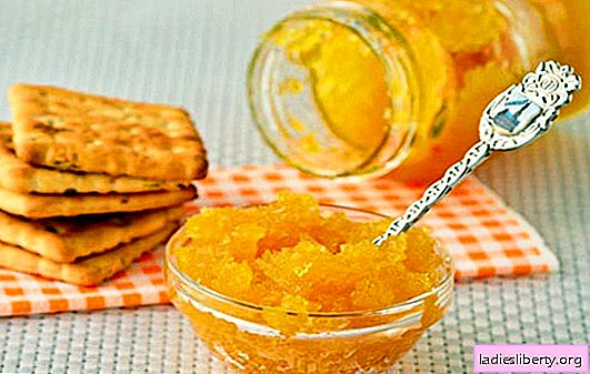 Zucchini jam with oranges is an original treat. A selection of the best recipes for squash jam with oranges