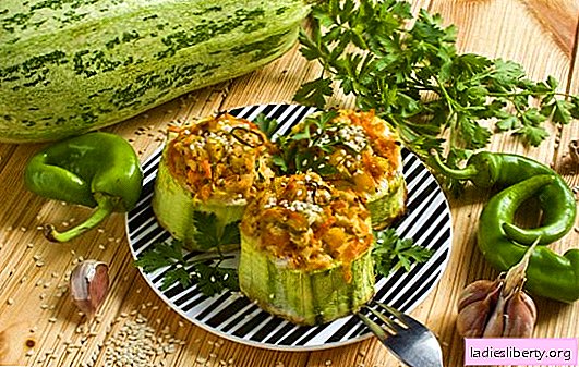 How to quickly cook zucchini in the oven. Simple recipes for delicious zucchini from the oven: casserole, scrambled eggs, pizza and others