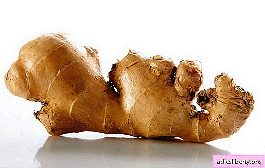 How to store ginger at home, how much it can be stored fresh. Learning to store ginger at home: fresh, frozen, dried, pickled