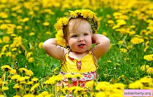 How to remove dandelion stains from clothes: folk and chemical methods. How to remove dandelion marks from clothes quickly?